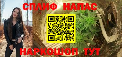 шишки Краснодар