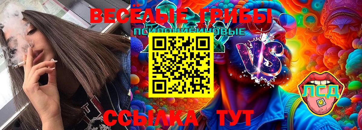 Шахты  что такое   Вход с VPN  Псилоцибиновые грибы Magic Shrooms 