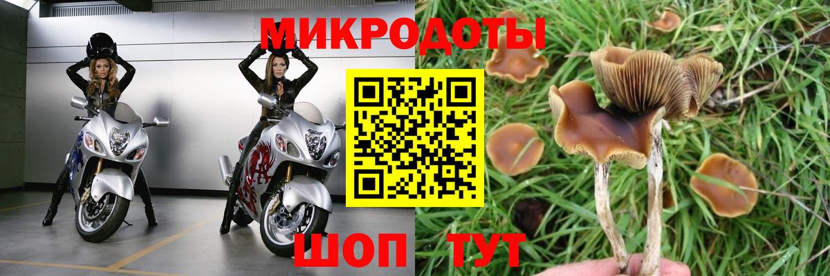 Псилоцибиновые грибы мицелий Шахты